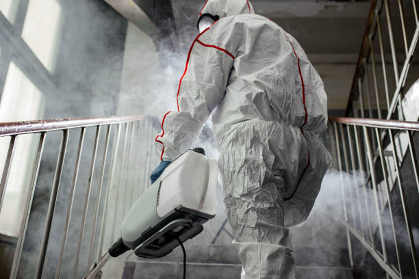 Best HVAC Mold Inspection and Cleaning  in Morton, MS